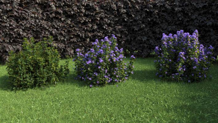 bushes_and_flowers_3_render10