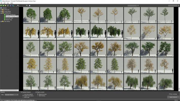 european_common_trees_1_library