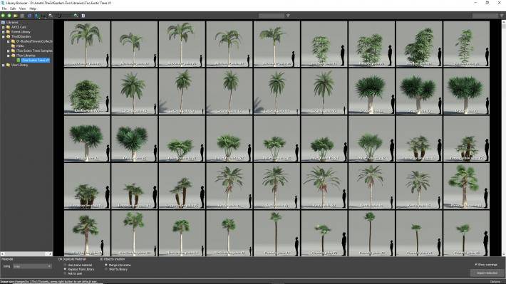 exotic_trees_1_library