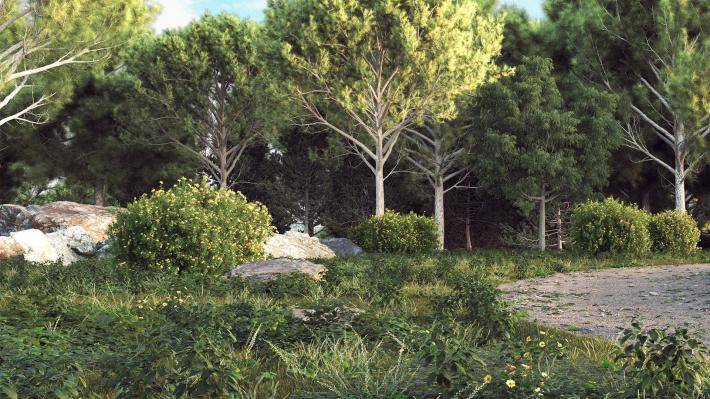 ground_cover_1_render_1 (1)