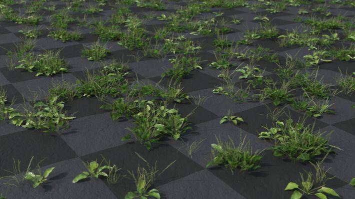 ground_cover_1_render_5