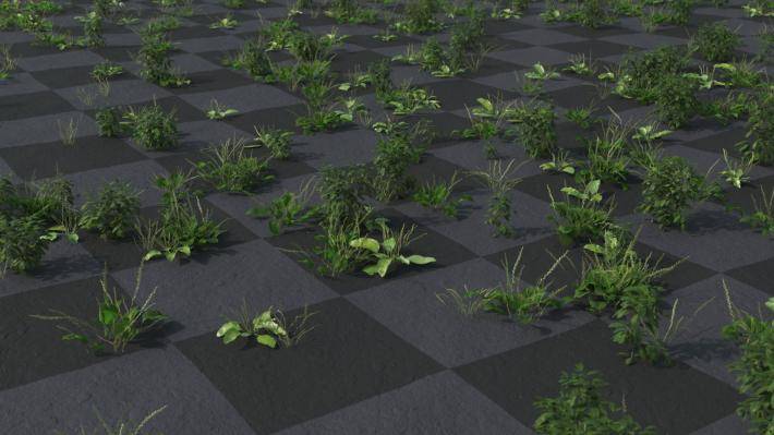 ground_cover_1_render_6 (1)