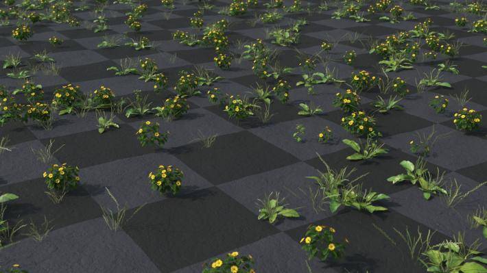 ground_cover_1_render_7
